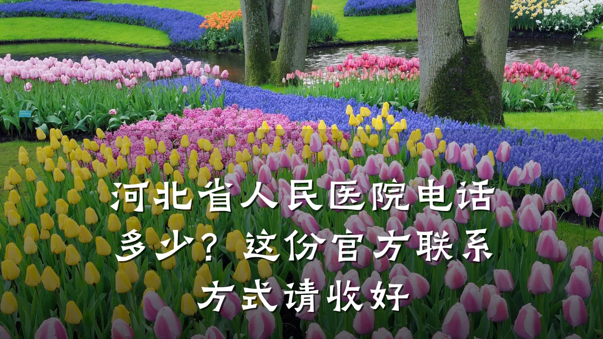 河北省人民医院电话多少？这份官方联系方式请收好
