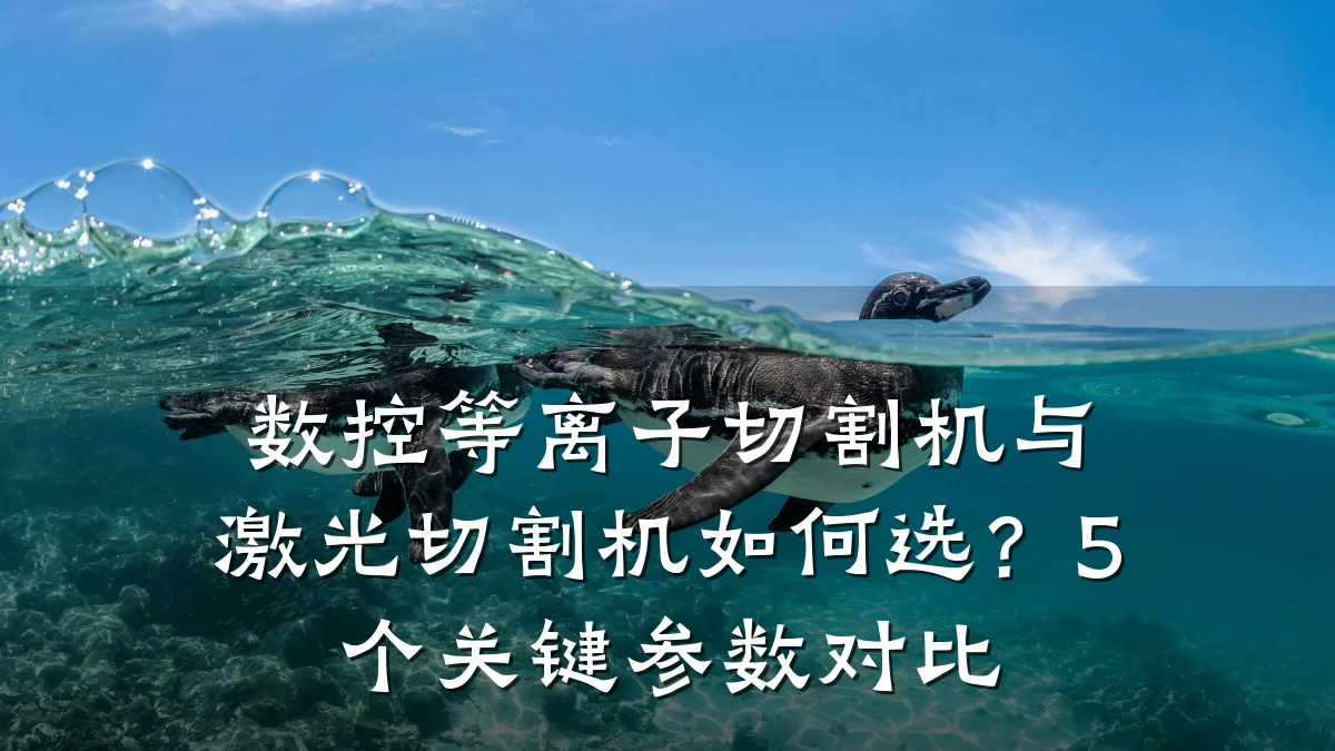数控等离子切割机与激光切割机如何选?5个关键参数对比