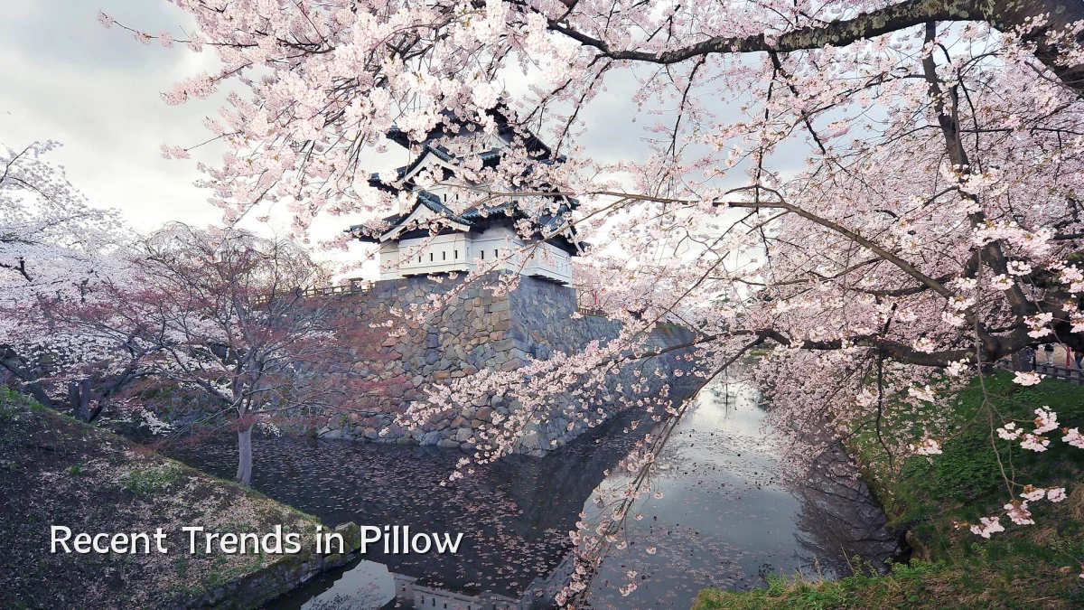 Recent Trends in Pillow