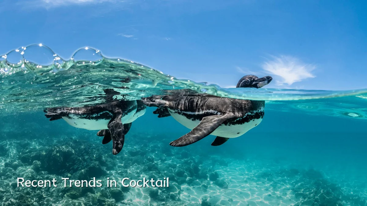 Recent Trends in Cocktail