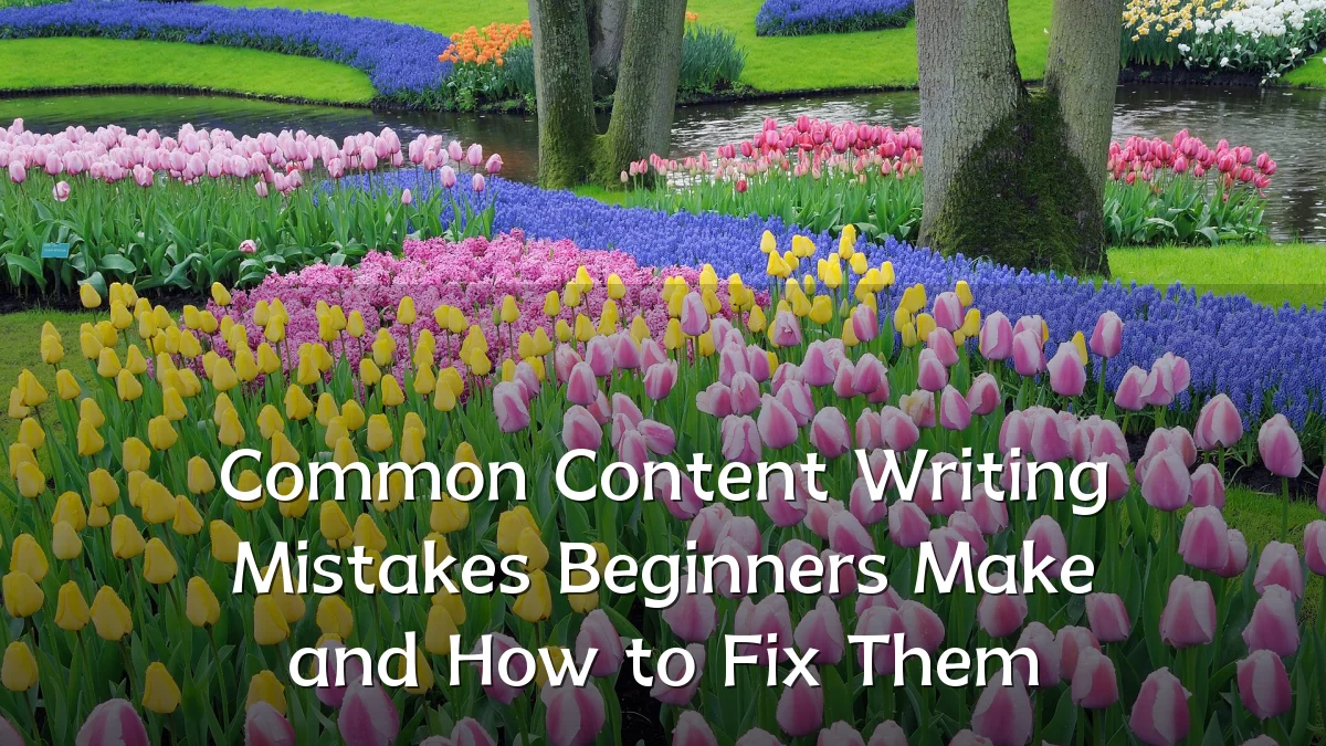Common Content Writing Mistakes Beginners Make and How to Fix Them