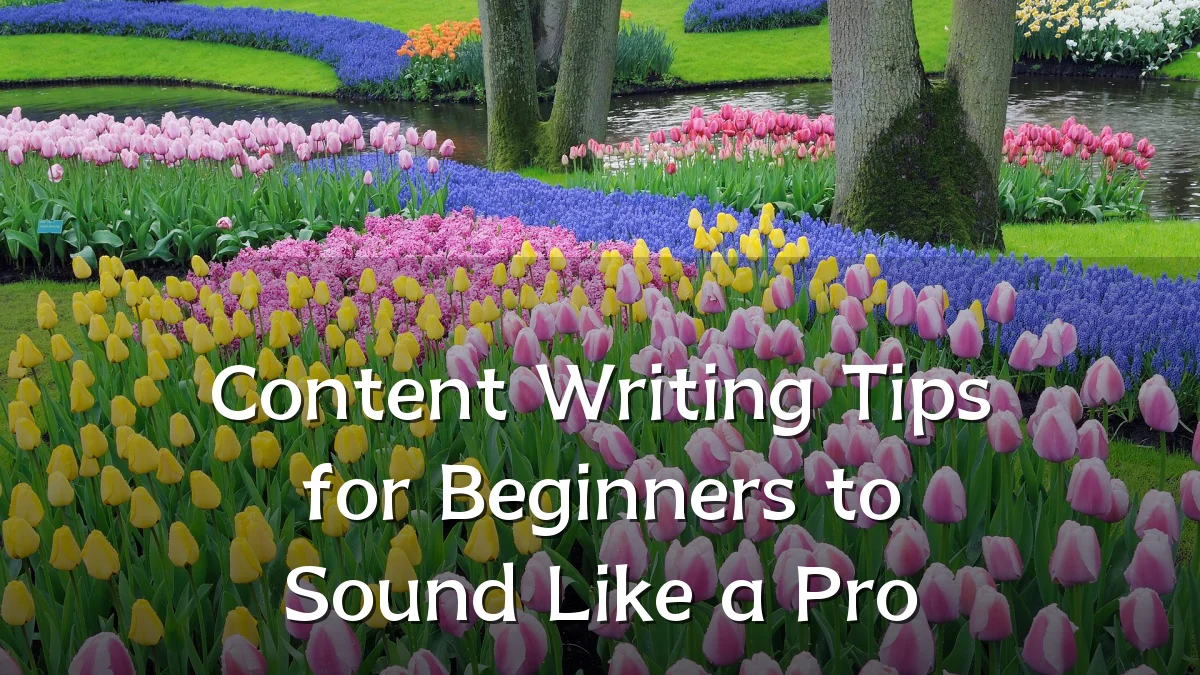 Content Writing Tips for Beginners to Sound Like a Pro