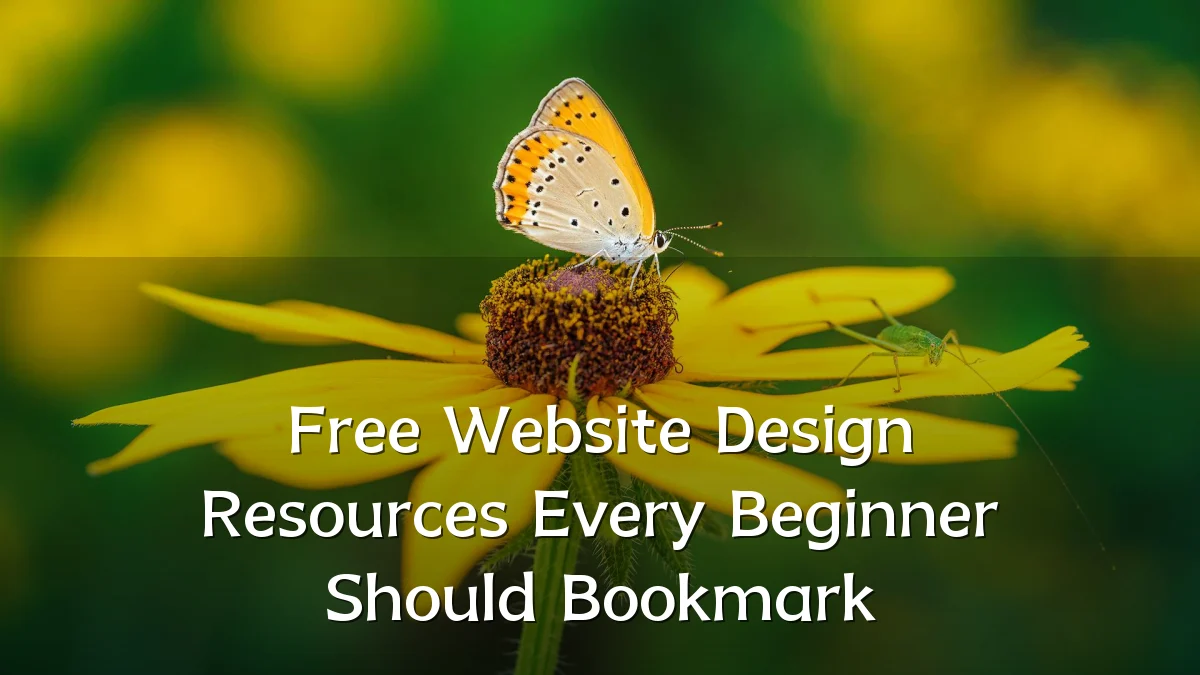 Free Website Design Resources Every Beginner Should Bookmark