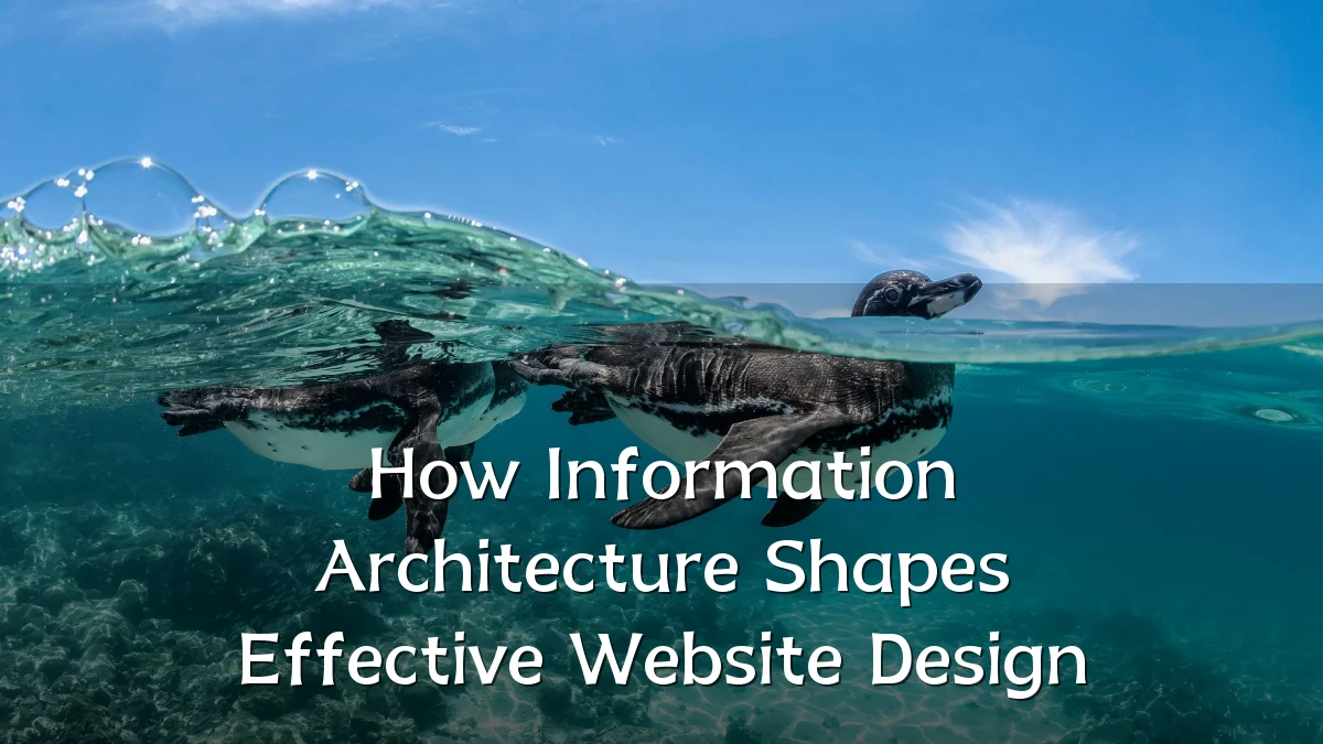 How Information Architecture Shapes Effective Website Design