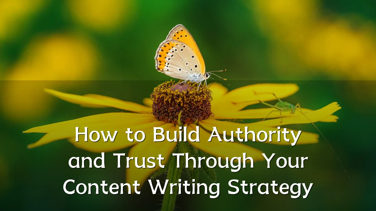 How to Build Authority and Trust Through Your Content Writing Strategy