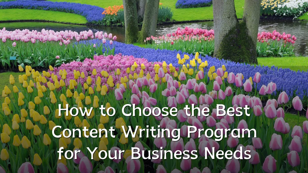How to Choose the Best Content Writing Program for Your Business Needs