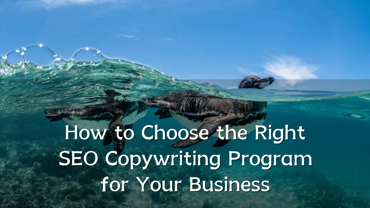 How to Choose the Right SEO Copywriting Program for Your Business