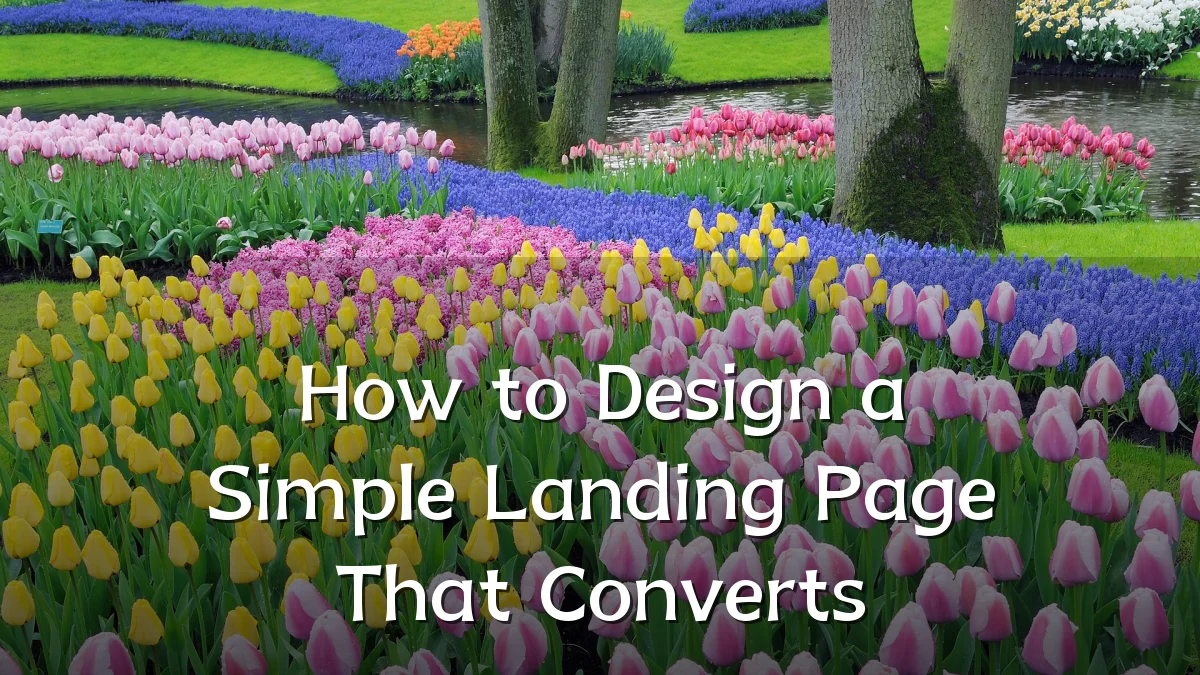 How to Design a Simple Landing Page That Converts