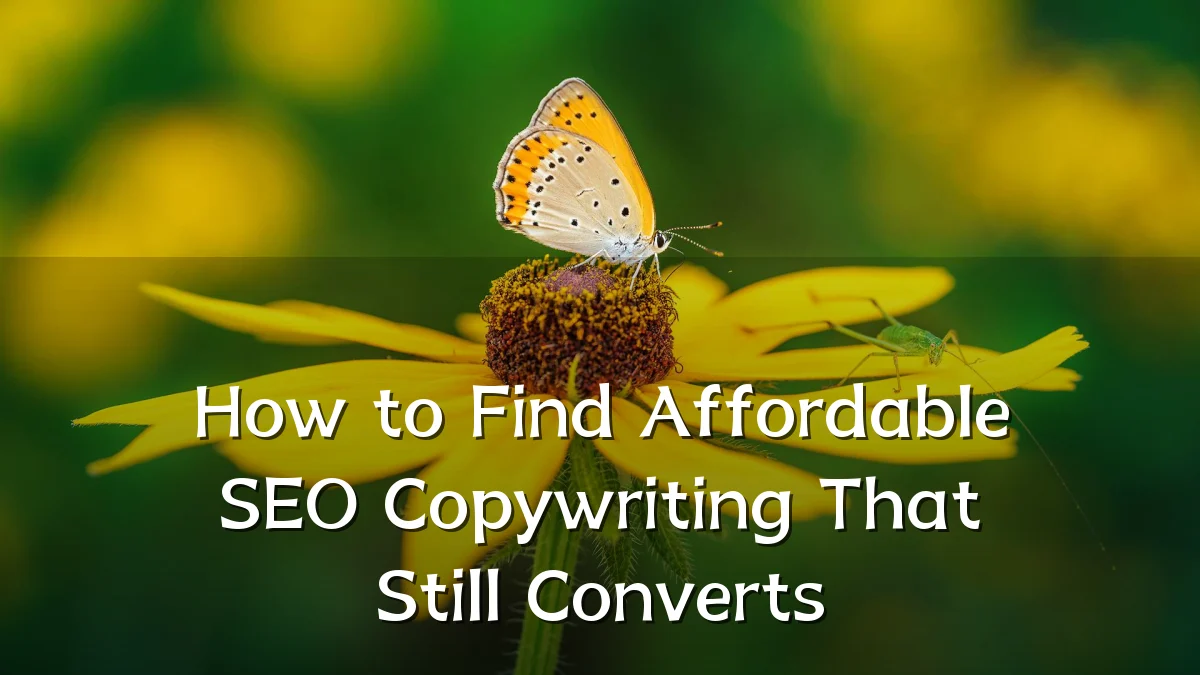 How to Find Affordable SEO Copywriting That Still Converts