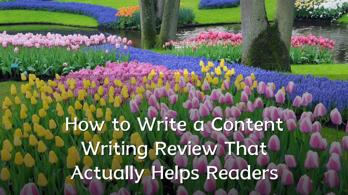 How to Write a Content Writing Review That Actually Helps Readers