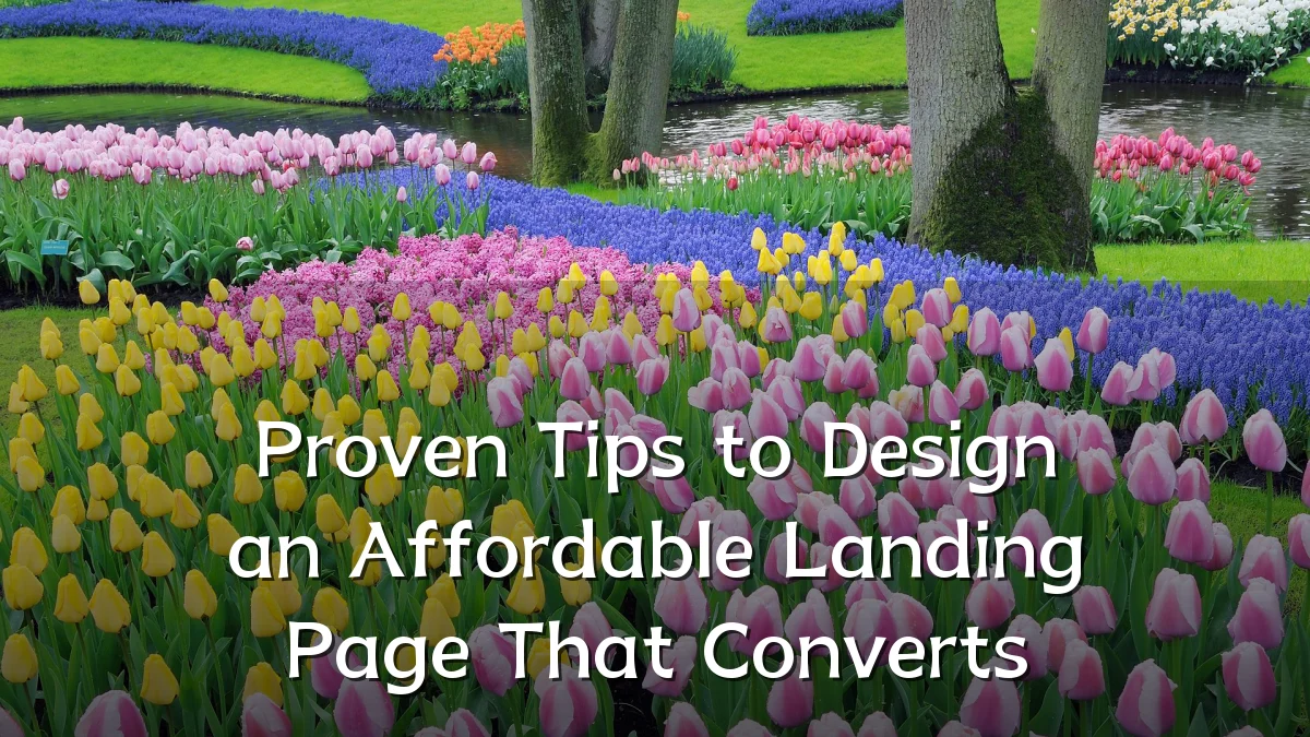 Proven Tips to Design an Affordable Landing Page That Converts