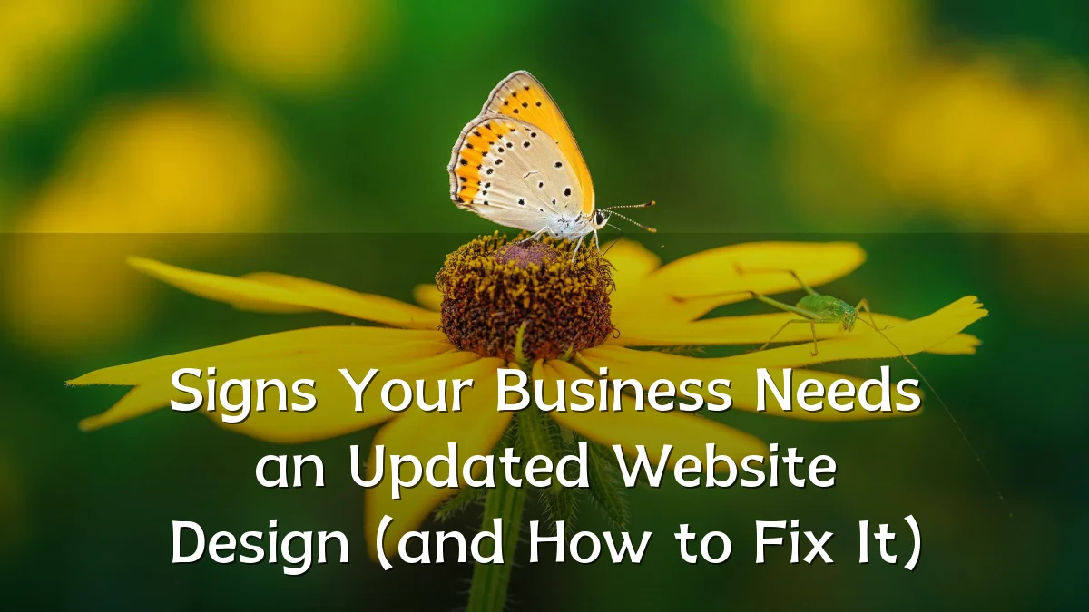 Signs Your Business Needs an Updated Website Design (and How to Fix It)