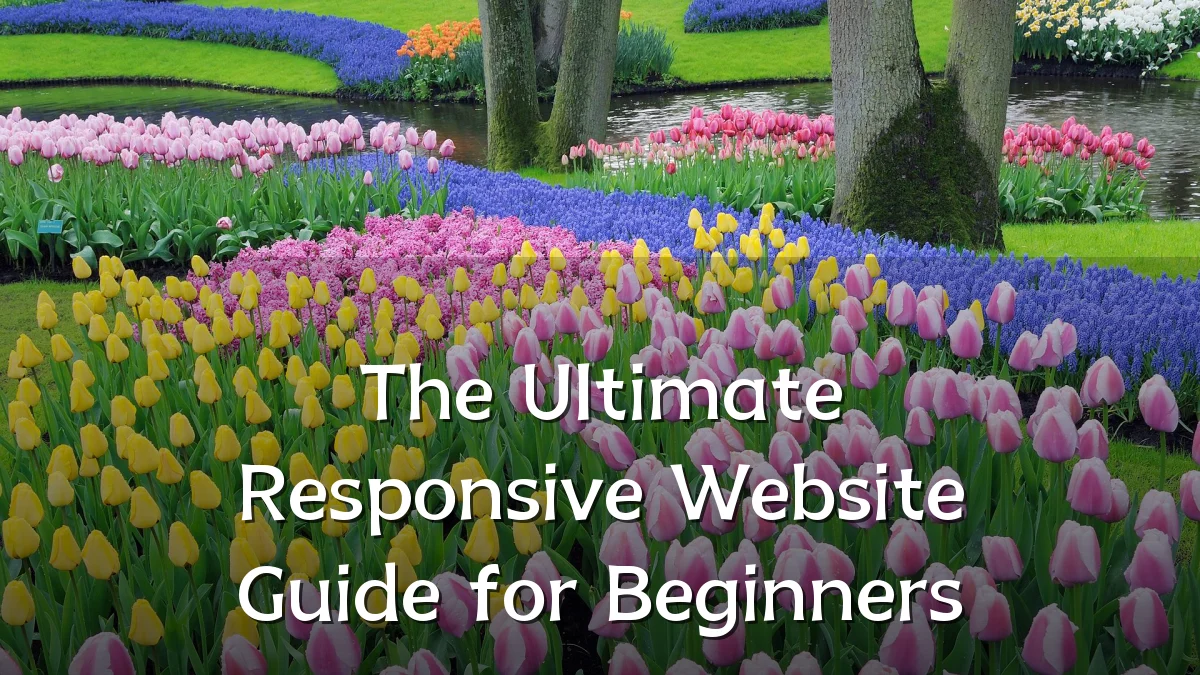 The Ultimate Responsive Website Guide for Beginners
