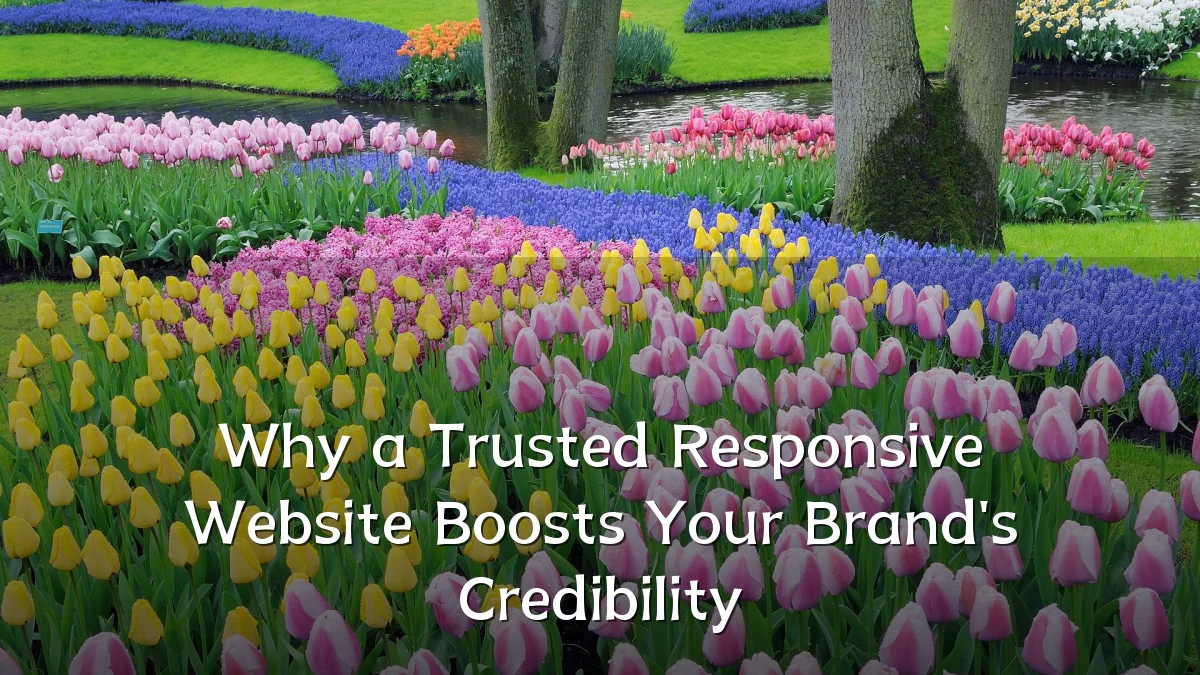 Why a Trusted Responsive Website Boosts Your Brand's Credibility