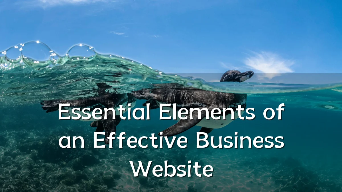 Essential Elements of an Effective Business Website