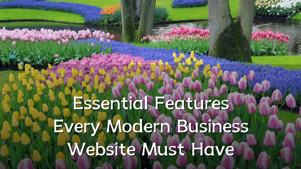 Essential Features Every Modern Business Website Must Have