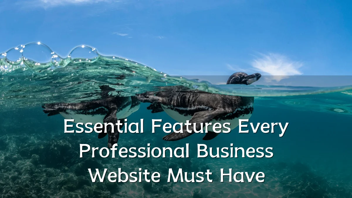 Essential Features Every Professional Business Website Must Have