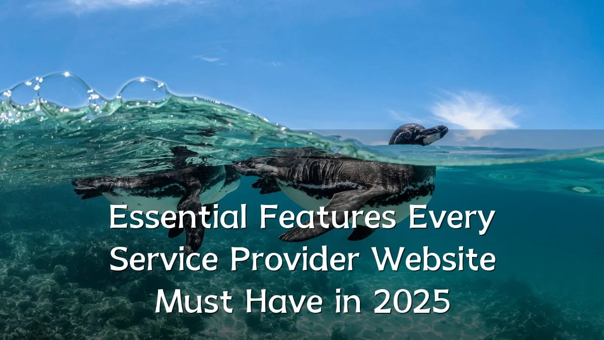 Essential Features Every Service Provider Website Must Have in 2025