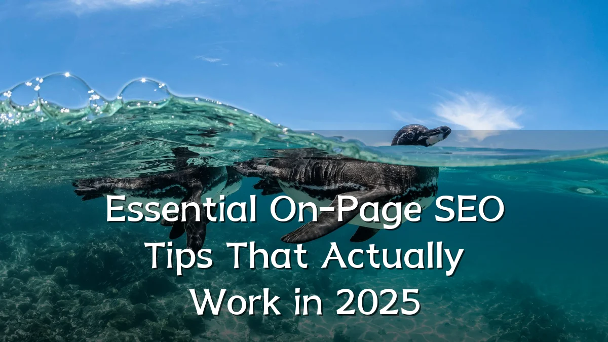 Essential On-Page SEO Tips That Actually Work in 2025
