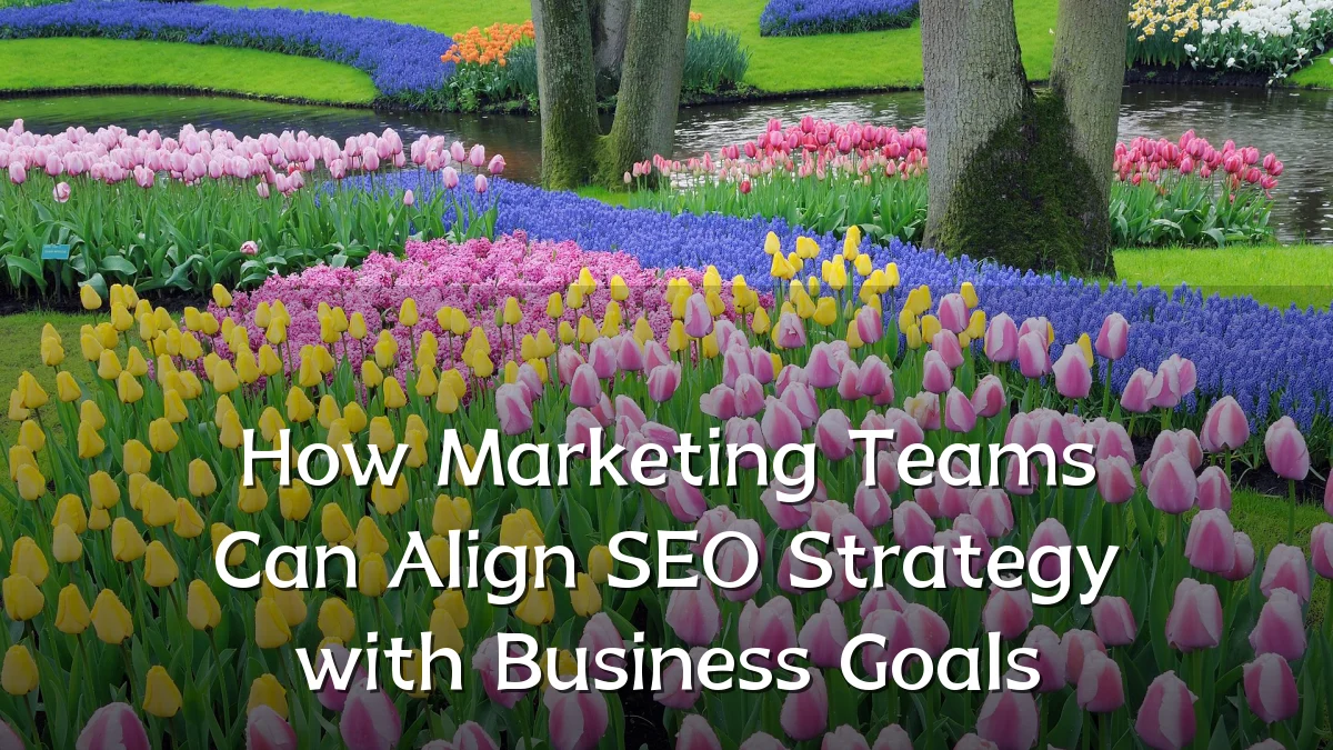 How Marketing Teams Can Align SEO Strategy with Business Goals
