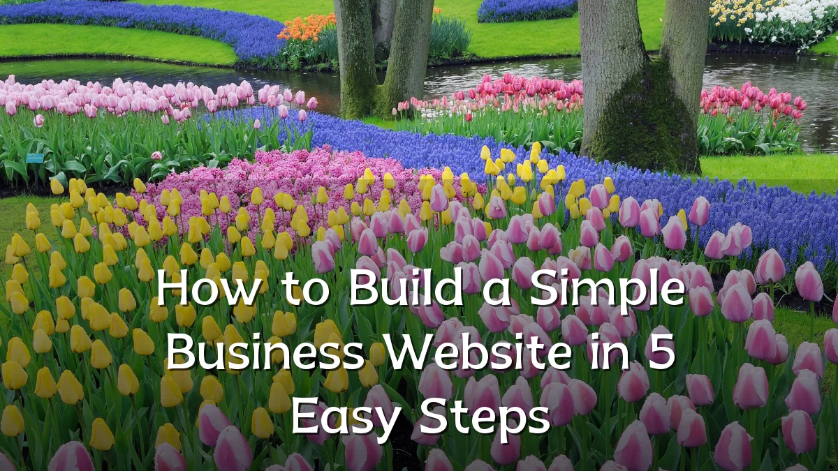 How to Build a Simple Business Website in 5 Easy Steps