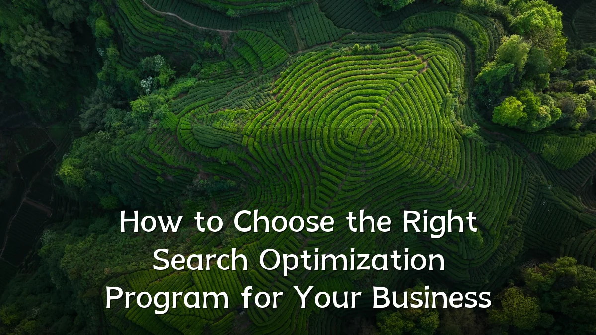 How to Choose the Right Search Optimization Program for Your Business