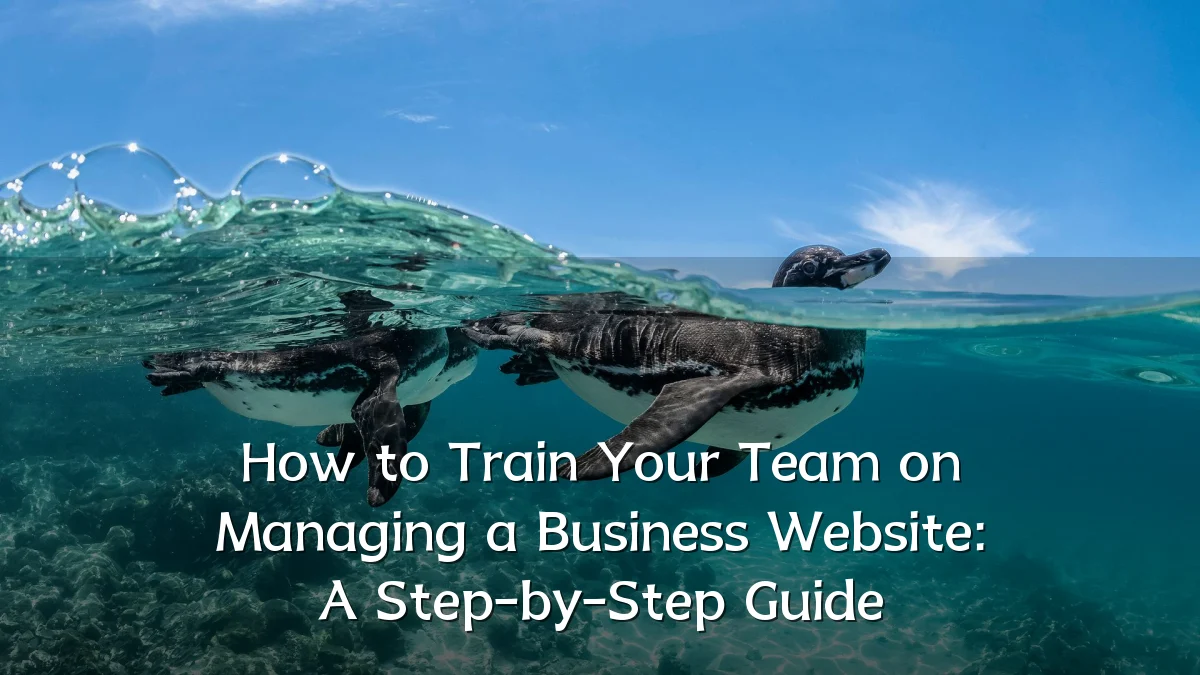 How to Train Your Team on Managing a Business Website: A Step-by-Step Guide