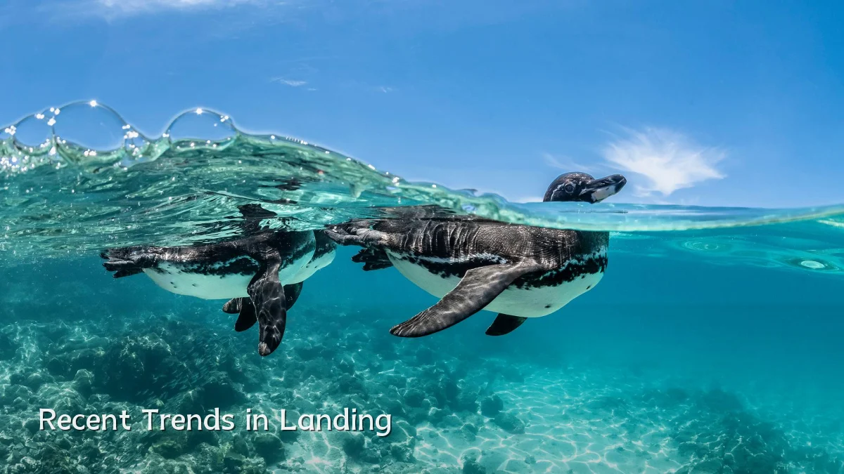 Recent Trends in Landing