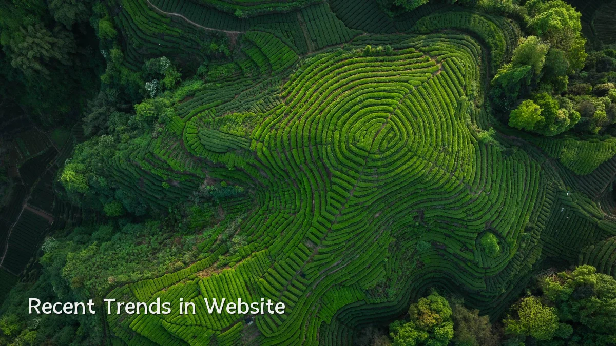 Recent Trends in Website