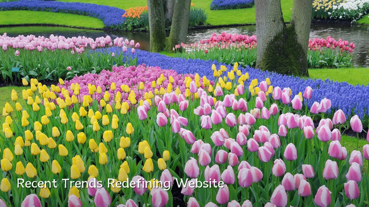 Recent Trends Redefining Website