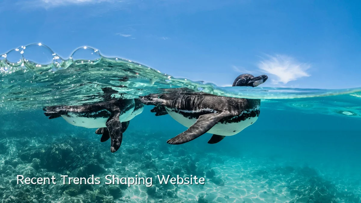 Recent Trends Shaping Website