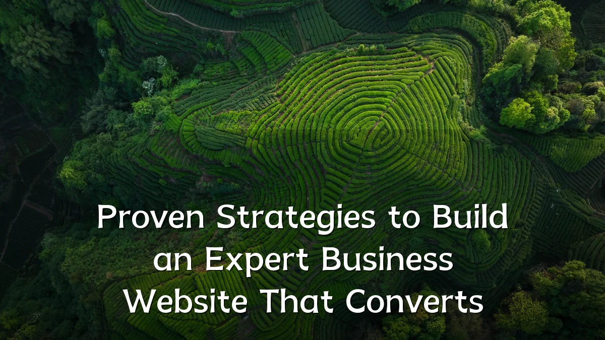 Proven Strategies to Build an Expert Business Website That Converts