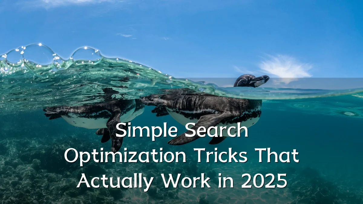 Simple Search Optimization Tricks That Actually Work in 2025