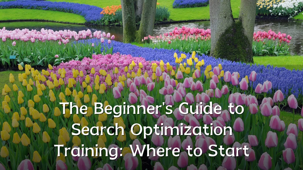 The Beginner's Guide to Search Optimization Training: Where to Start