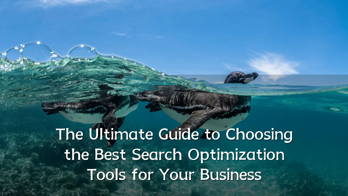 The Ultimate Guide to Choosing the Best Search Optimization Tools for Your Business