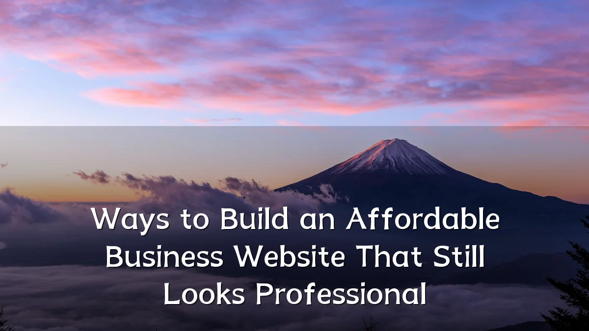 Ways to Build an Affordable Business Website That Still Looks Professional