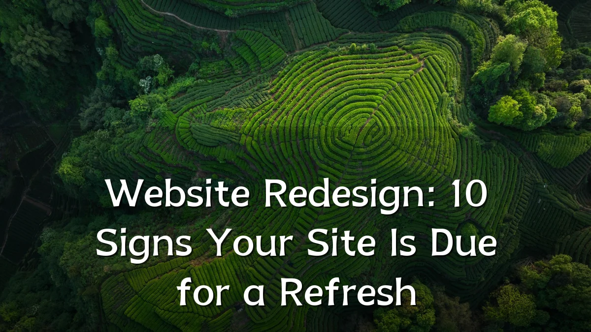 Website Redesign: 10 Signs Your Site Is Due for a Refresh