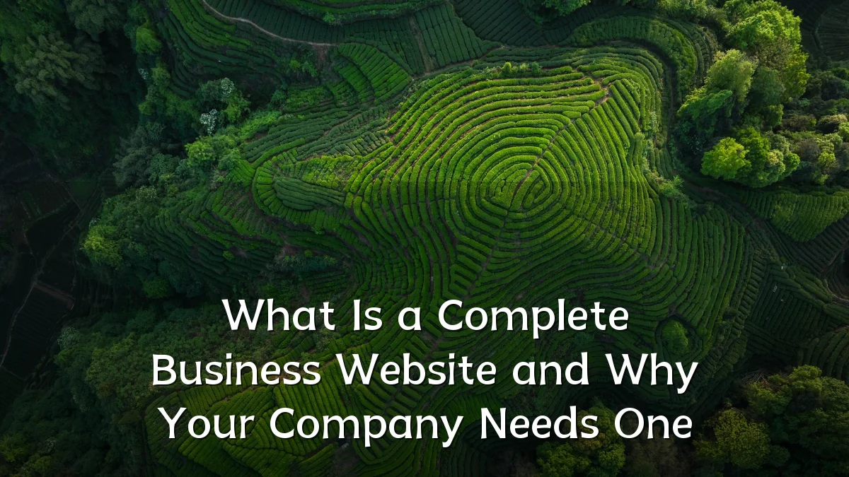 What Is a Complete Business Website and Why Your Company Needs One