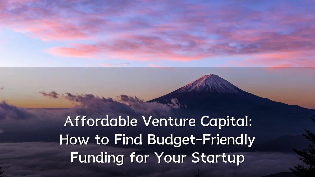 Affordable Venture Capital: How to Find Budget-Friendly Funding for Your Startup