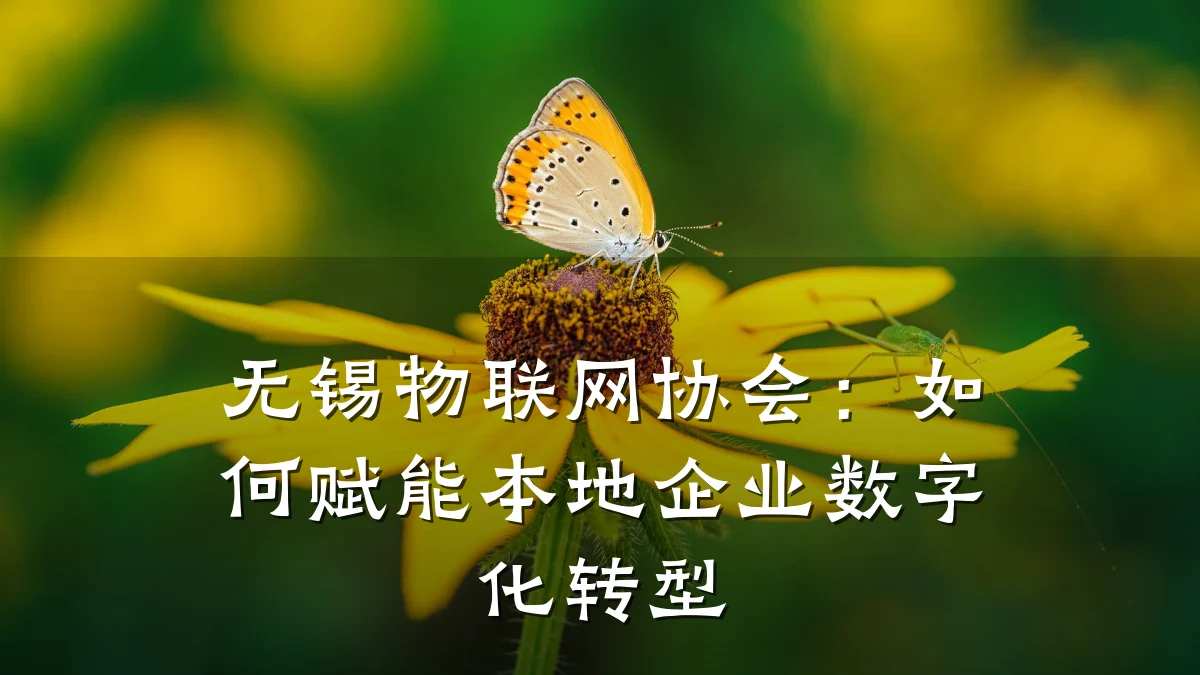 无锡物联网协会:如何赋能本地企业数字化转型