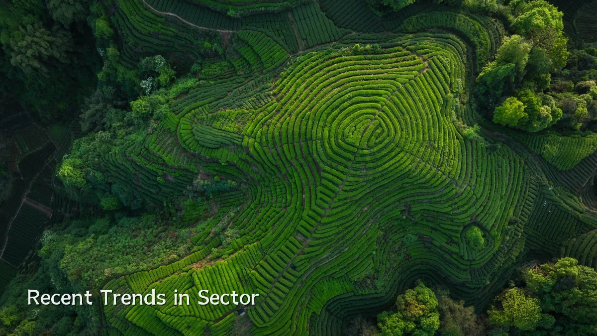 Recent Trends in Sector