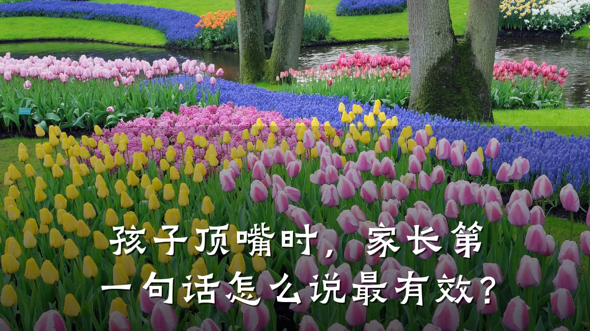 孩子顶嘴时，家长第一句话怎么说最有效？