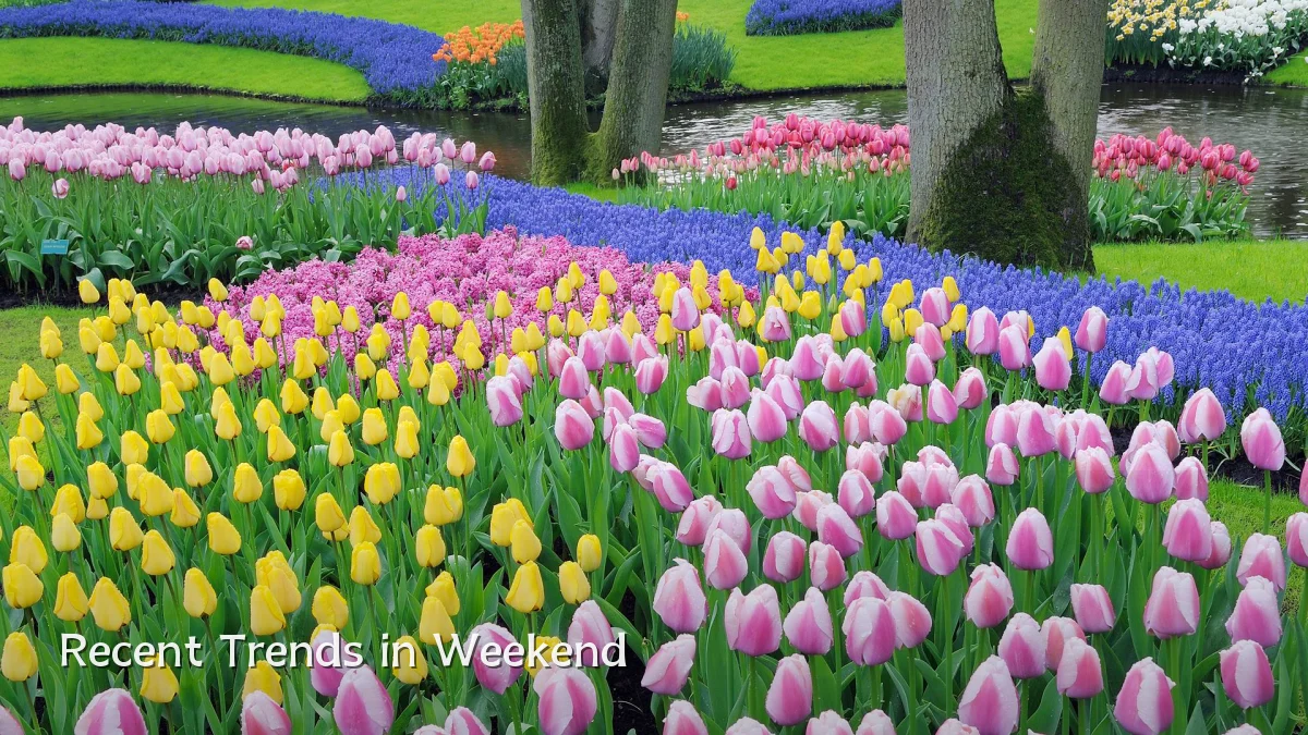 Recent Trends in Weekend